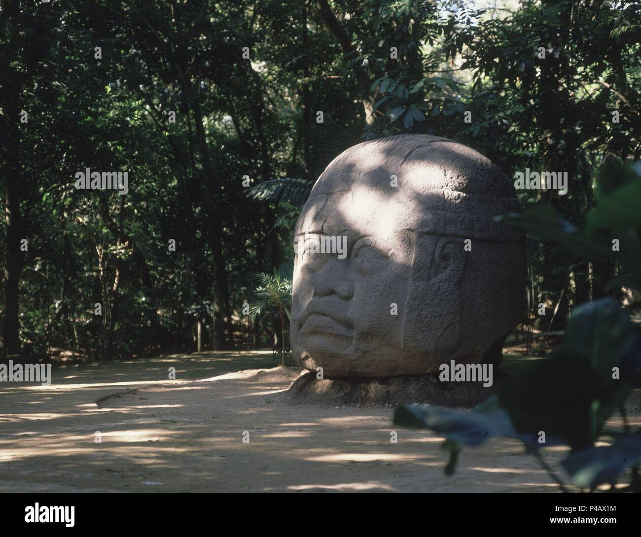 CABEZA COLOSAL OLMECA - 1000-400 AC. Posizione: MUSEO DE LA VENTA, VILLAHERMOSA, CIUDAD DE MEXICO. Foto Stock