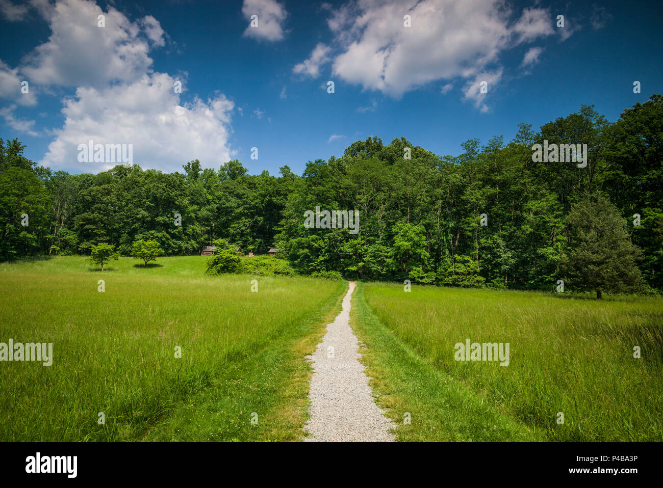 Stati Uniti d'America, New Jersey, Morristown, Morristown National Historical Park, Jockey cava, winter camp e cabine sito utilizzata dai soldati americani durante la guerra rivoluzionaria americana Foto Stock