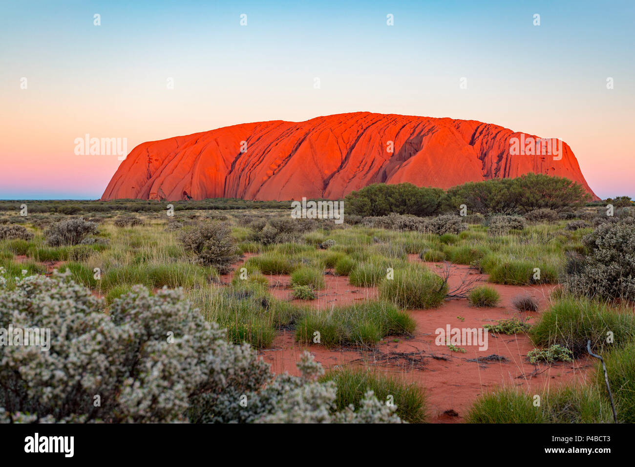 Uluru, Red Centre, Territorio del Nord, l'Australia Centrale. Foto Stock
