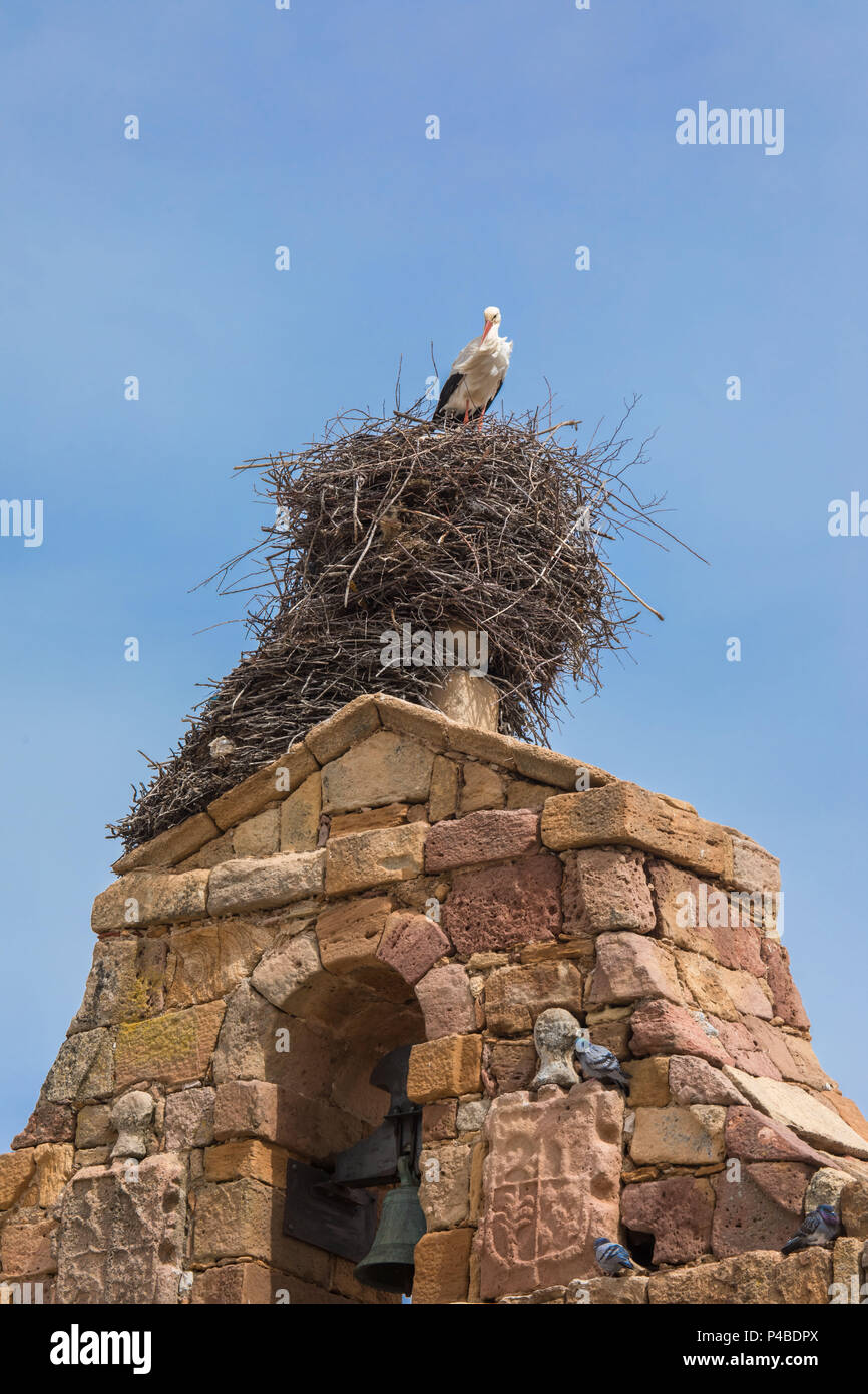 Spagna, Soria provincia, Stork nest Foto Stock