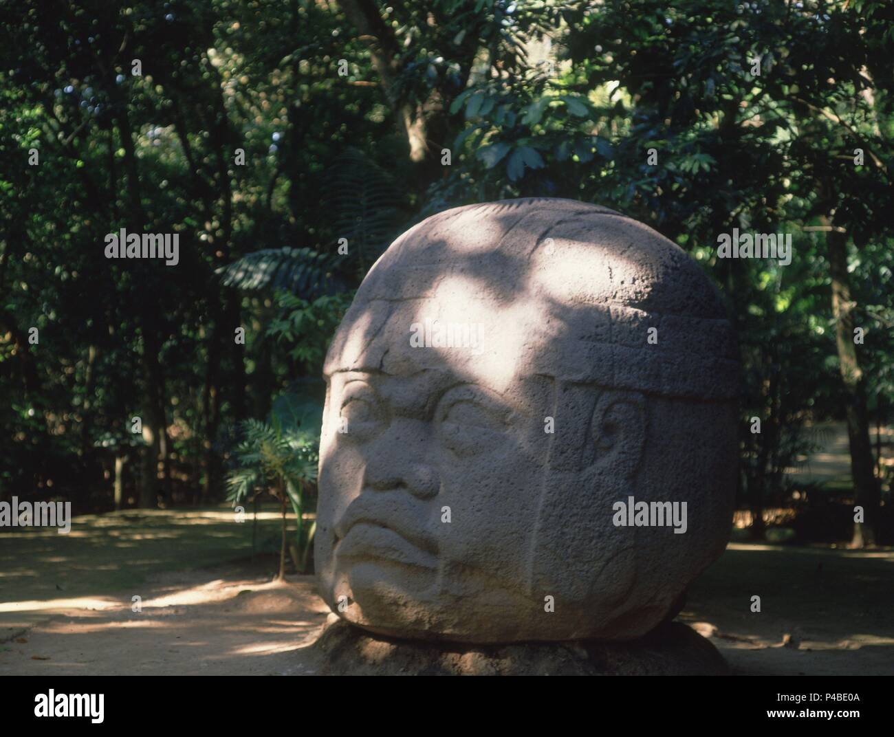 CABEZA COLOSAL OLMECA - 1000-400 AC. Posizione: MUSEO DE LA VENTA, VILLAHERMOSA, CIUDAD DE MEXICO. Foto Stock