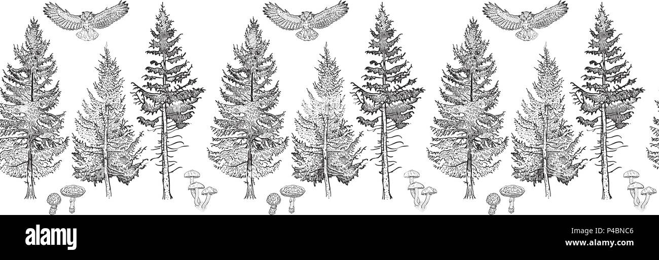 Foresta di frontiera senza giunture ornamento: abeti, funghi, Owl. Infinite pattern orizzontale spazzola. Elementi isolati per invito, biglietto di auguri, design pattern, poster, decorazione, la stampa tessile. Illustrazione Vettoriale