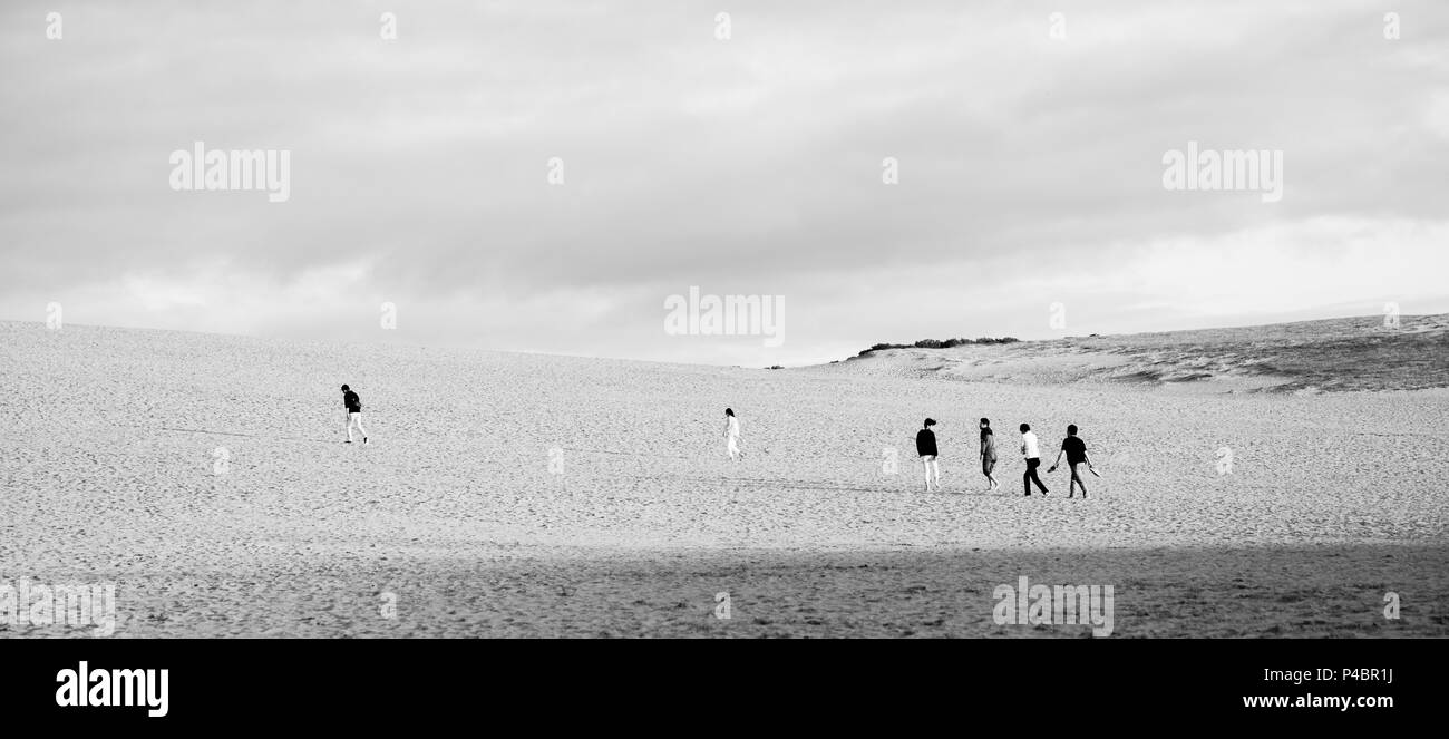 Situato in San'in Kaigan Geoparco e stretching 16km da est a ovest, Tottori dune di sabbia sono uno dei migliori dune costiere del paese. Foto Stock