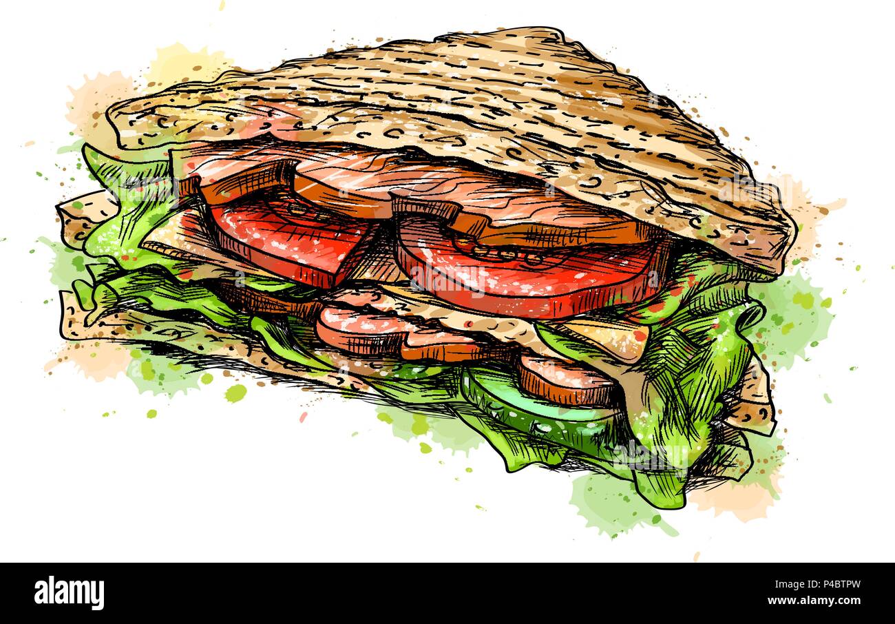 Sandwich fast food da una spruzzata di acquerelli Illustrazione Vettoriale