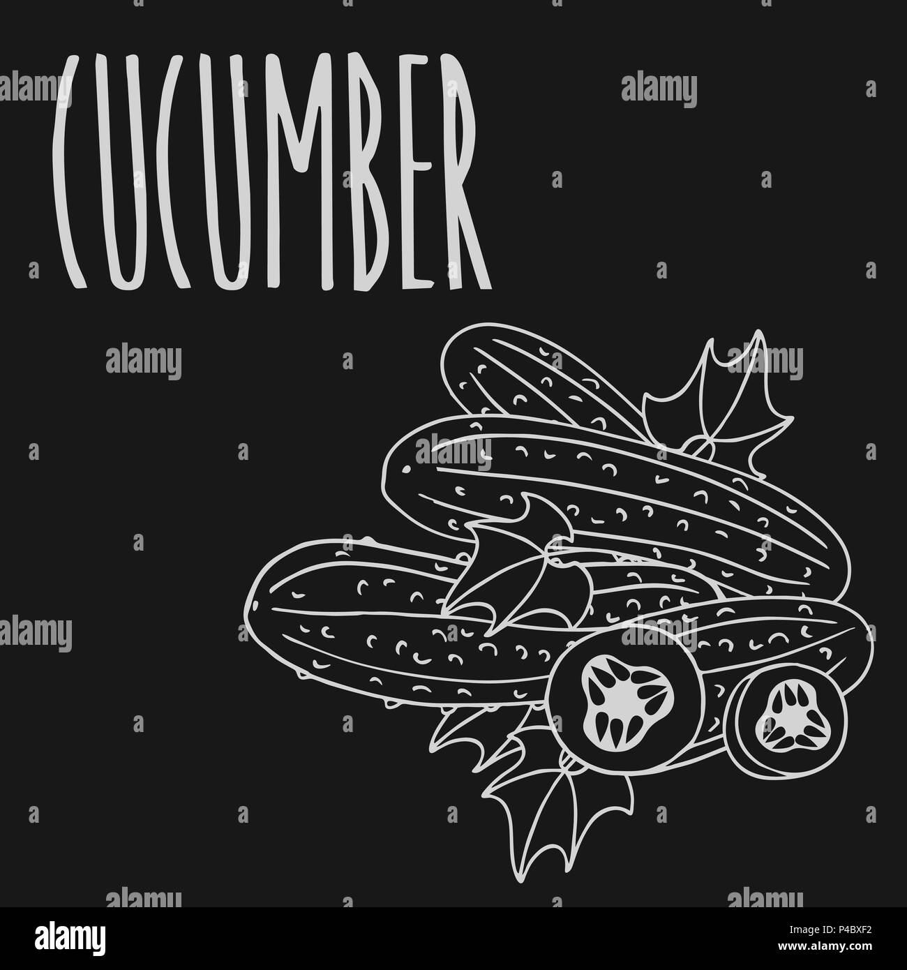 Isolare il cetriolo verdura come il gesso sulla lavagna. Close up clipart in stile lavagna. Disegnata a mano icona Illustrazione Vettoriale