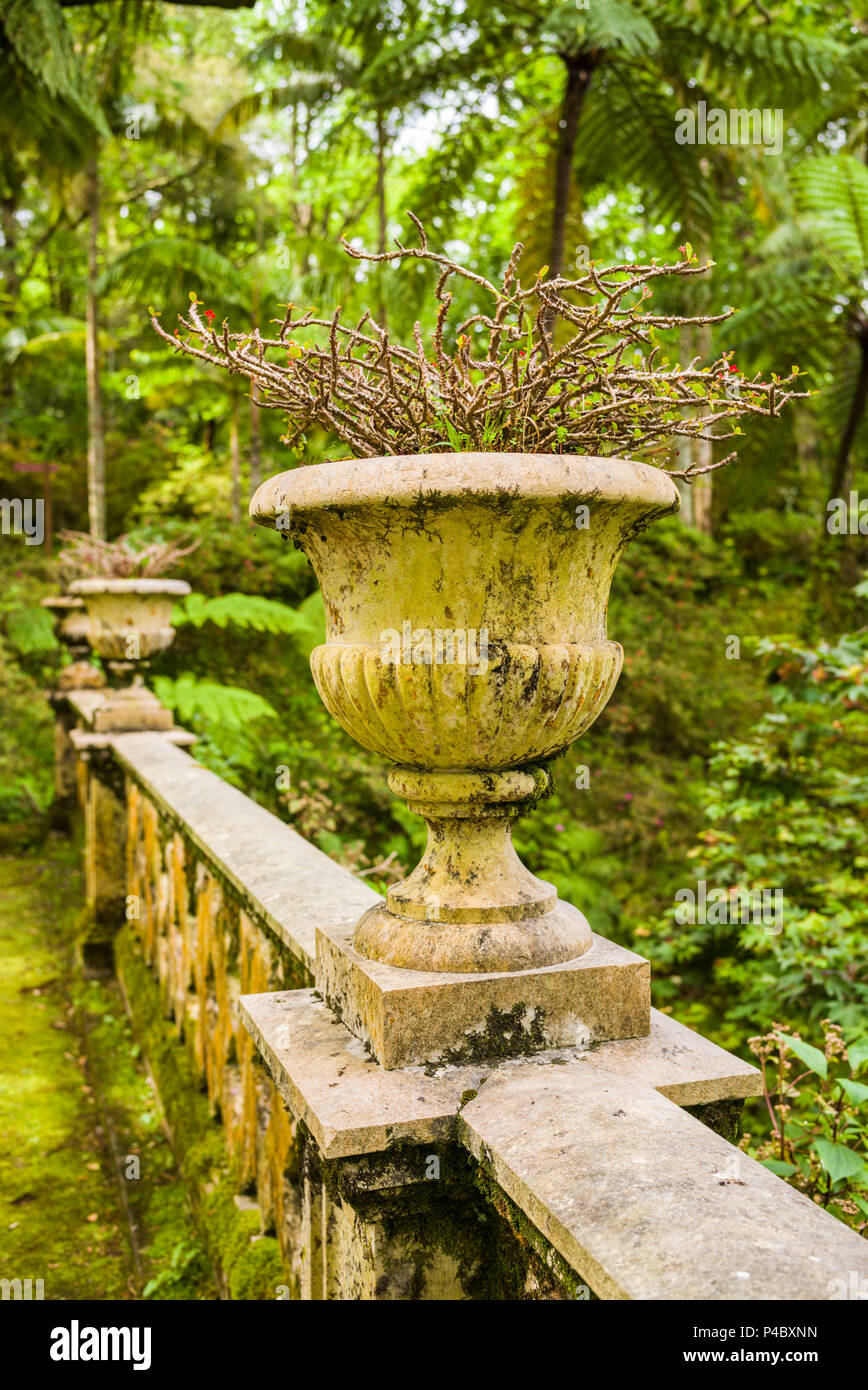 Portogallo Azzorre, isola Sao Miguel, Furnas, Terra Nostra giardino, giardino urn Foto Stock