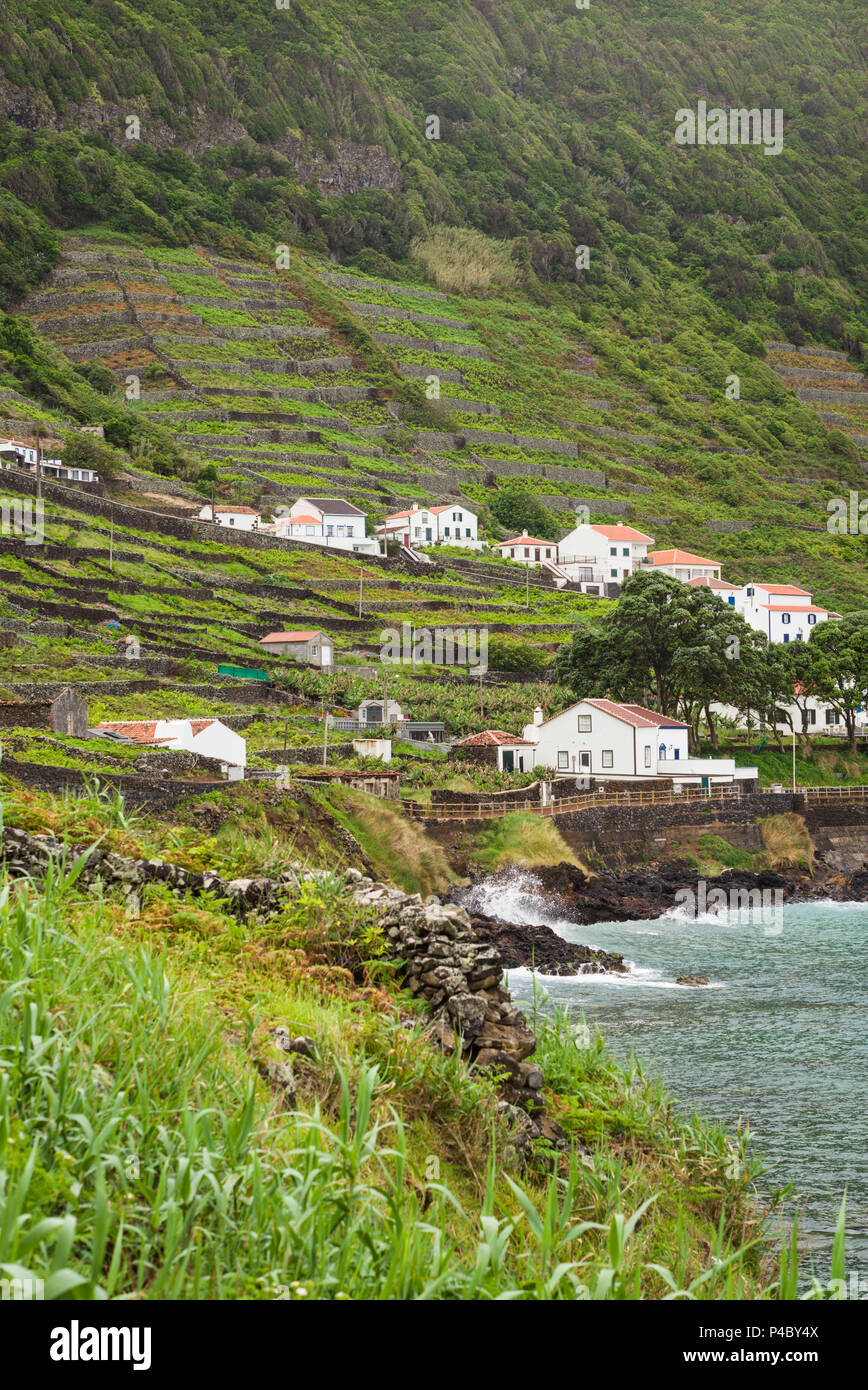 Portogallo Azzorre, Santa Maria Island, Maia, vista in elevazione della città e di roccia vulcanica vigneti Foto Stock