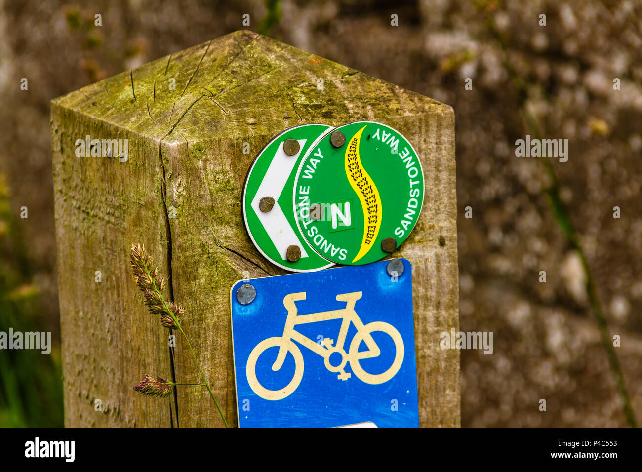 Segni di ciclismo su un palo di legno per il modo di arenaria, a 120 miglia di distanza lungo percorso in mountain bike in Northumberland, Regno Unito. Estate 2018. Foto Stock