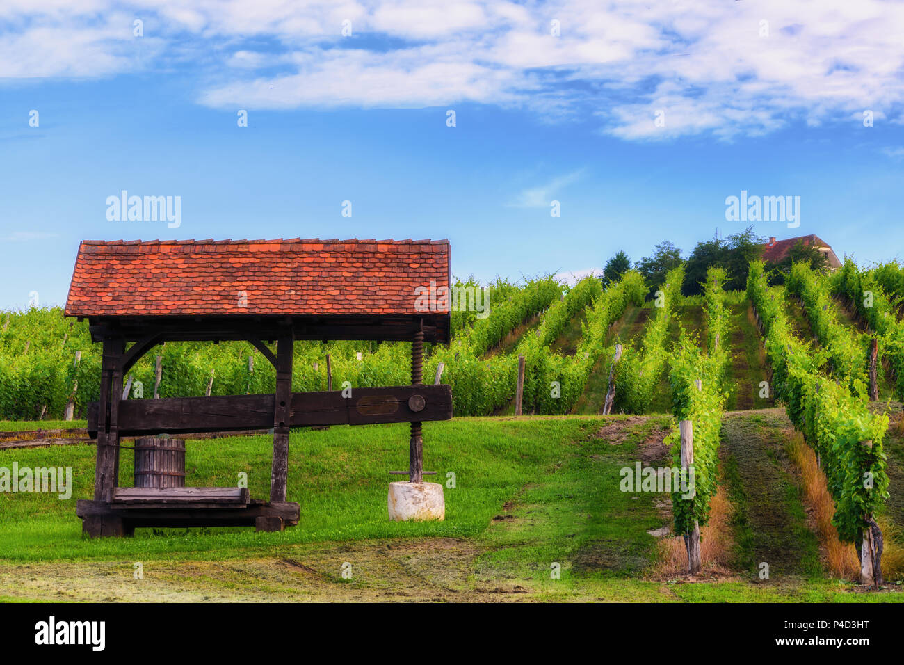 Tradizionali uve vecchio vitigno premere in vigneto, attrazione turistica la strada del vino in Slovenske Konjice, Slovenia Foto Stock