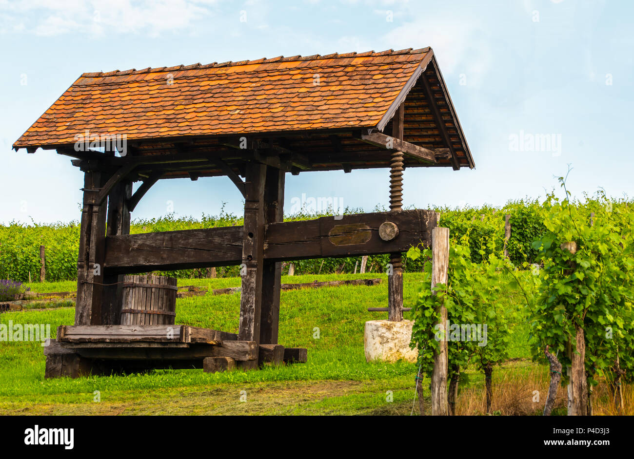 Tradizionali uve vecchio vitigno premere in vigneto, attrazione turistica la strada del vino in Slovenske Konjice, Slovenia Foto Stock