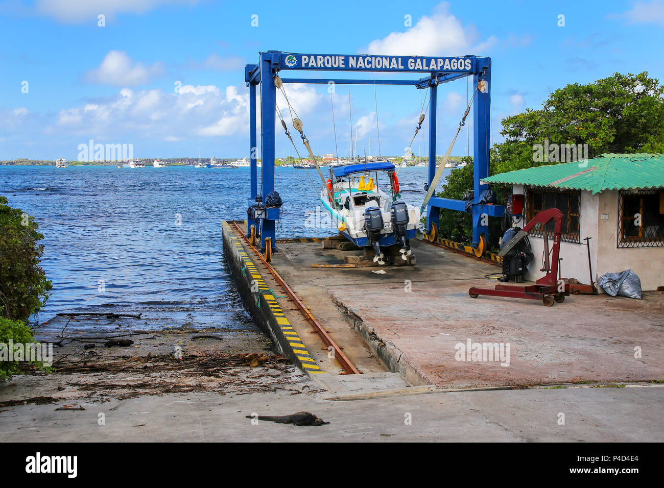 Il motoscafo in una imbracatura a Charles Darwin Research Station sull isola di Santa Cruz, Galapagos National Park, Ecuador. Stazione di ricerca viene usata per condurre sc Foto Stock