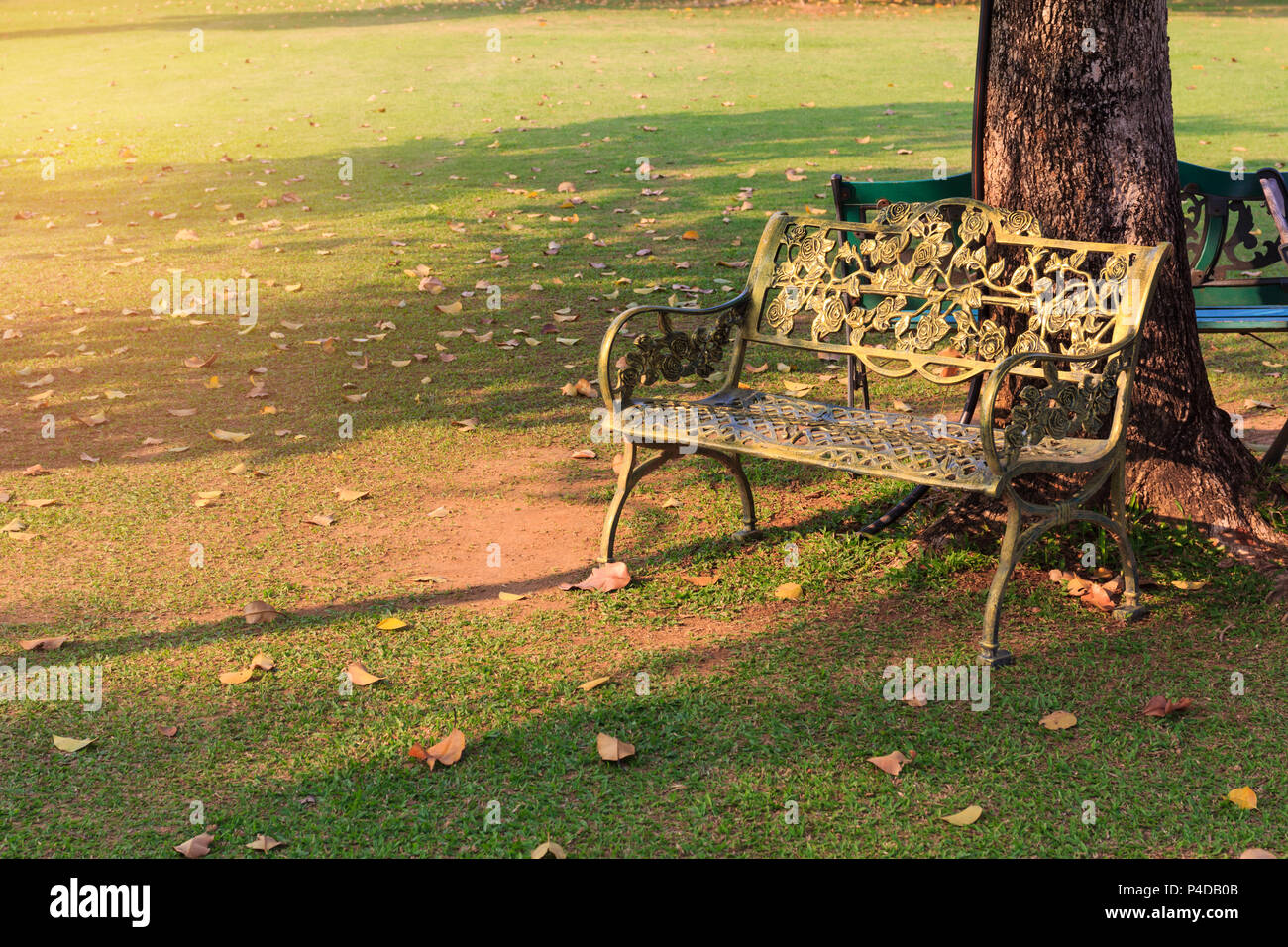Classica sedia in acciaio nel parco dello sfondo. Foto Stock