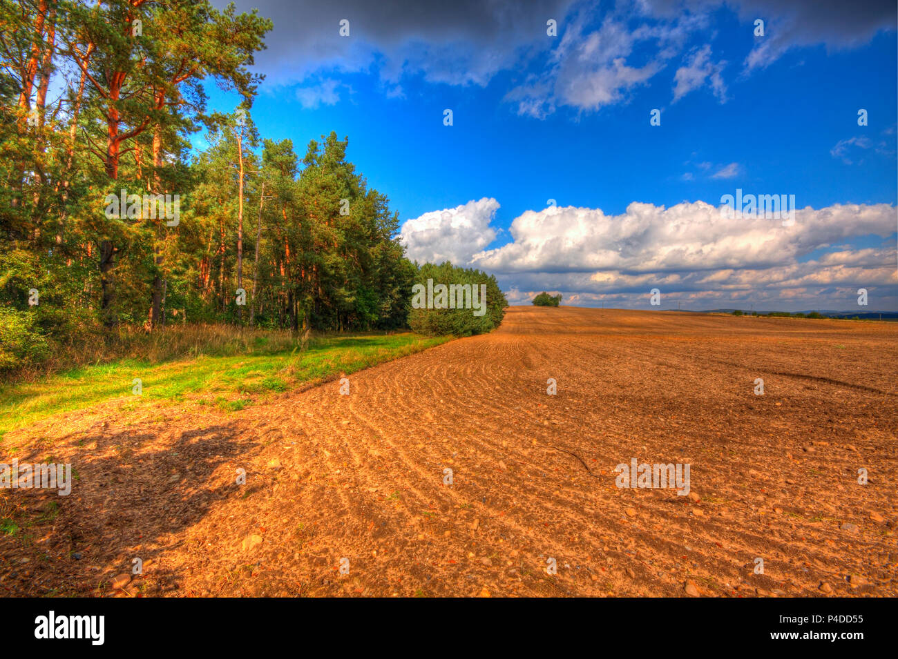 Campo Arato in tarda estate. Immagine hdr. Polonia, Santa Croce montagne. Foto Stock