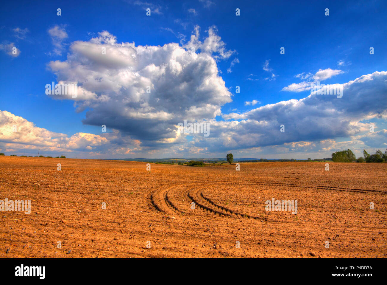 Campo Arato in tarda estate. Immagine hdr. Polonia, Santa Croce montagne. Foto Stock