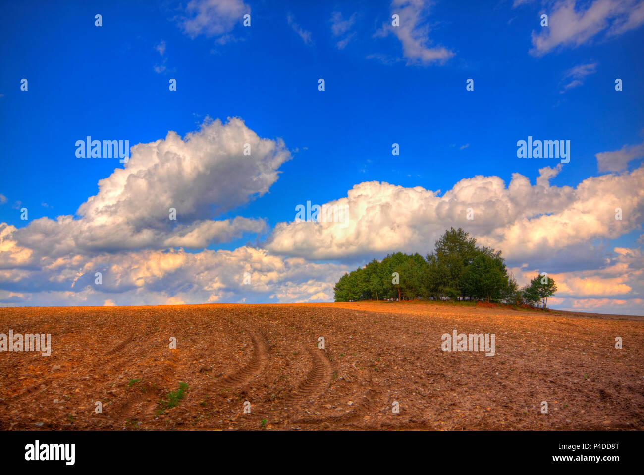 Campo Arato in tarda estate. Immagine hdr. Polonia, Santa Croce montagne. Foto Stock