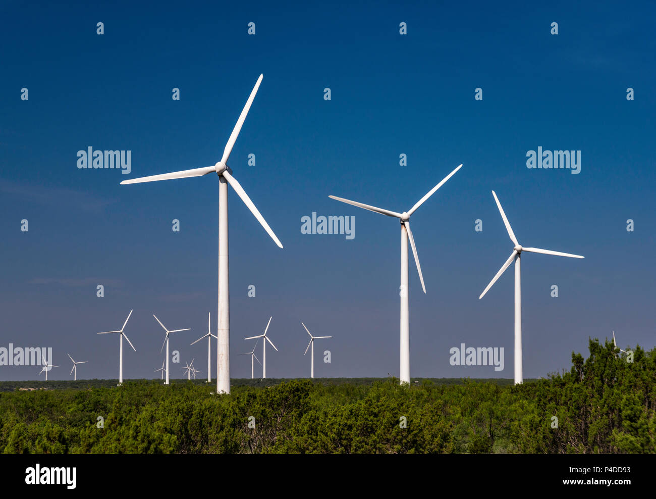 Le turbine eoliche a Brazos Wind Farm su Llano Estacado pianure scarpata vicino Fluvanna, Texas, Stati Uniti d'America Foto Stock