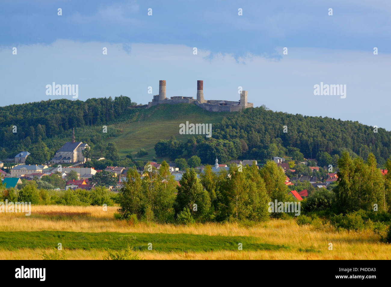 Vista di un Checiny con Castello Reale (dal tardo XIII secolo) sulla collina sopra la città. Polonia, Checiny, Santa Croce montagne. Foto Stock