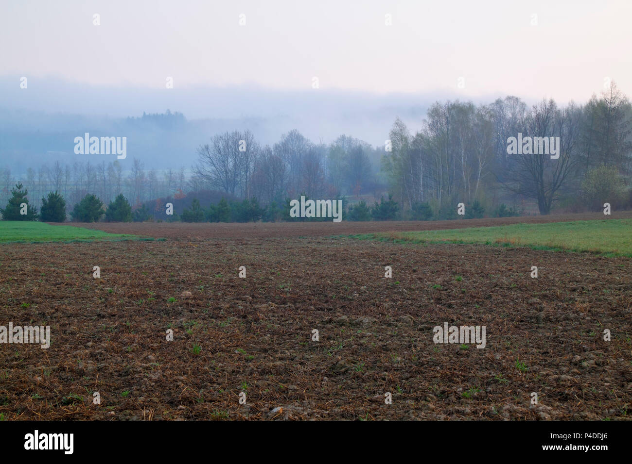 Paesaggio di Nebbia con campo arato. Polonia, Santa Croce montagne. Foto Stock