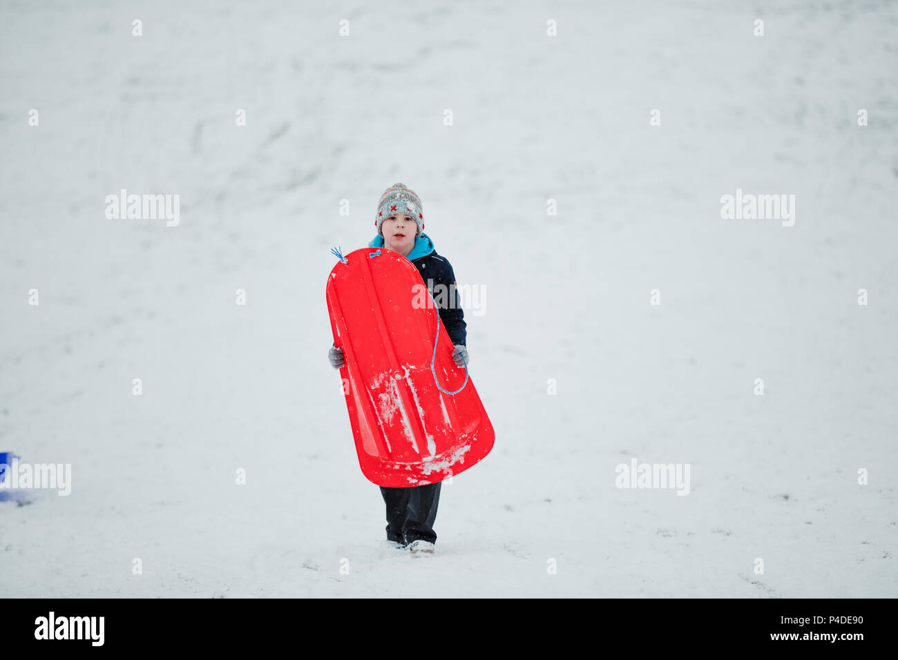 Little Boy è in cammino verso la telecamera in un parco pubblico mentre nevica e sta portando una slitta. Foto Stock