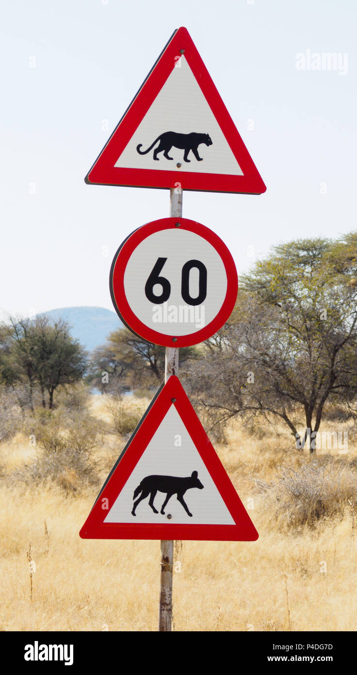 Segnaletica stradale Namibia - Limite di velocità e di polizia cartelli di avvertimento Foto Stock