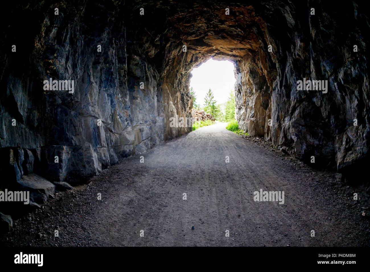La luce alla fine del tunnel a Myra Canyon in Kelonwa, British Columbia, Canada. Concetto di conquista di avversità o di successo attraverso gli ostacoli. Foto Stock