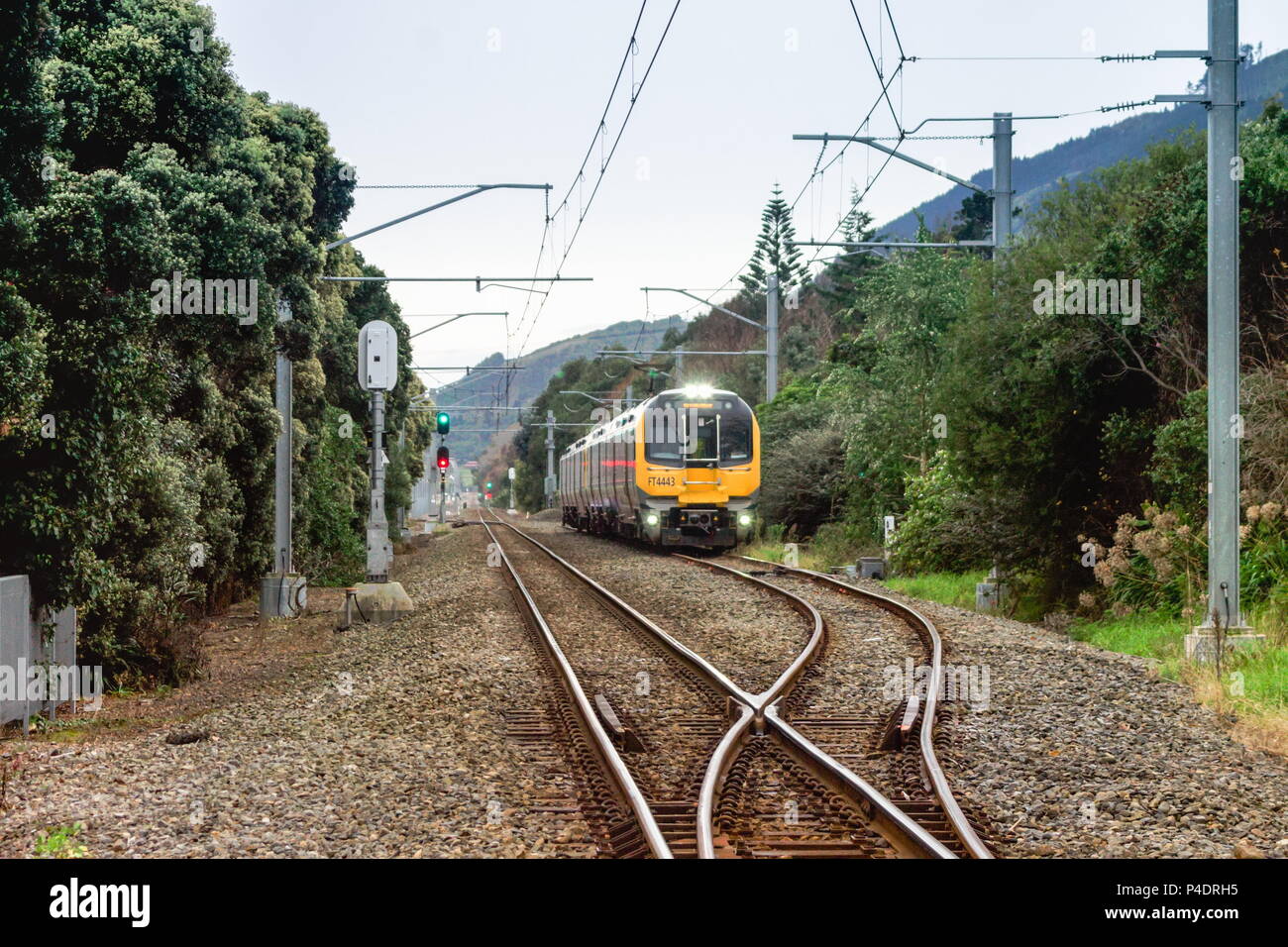 Waikanae, Nuova Zelanda - 18 Luglio 2016: un treno passeggeri Waikanae vicino stazione ferroviaria, parte di maggiore Wellington Metlink del sistema di trasporto pubblico. Foto Stock