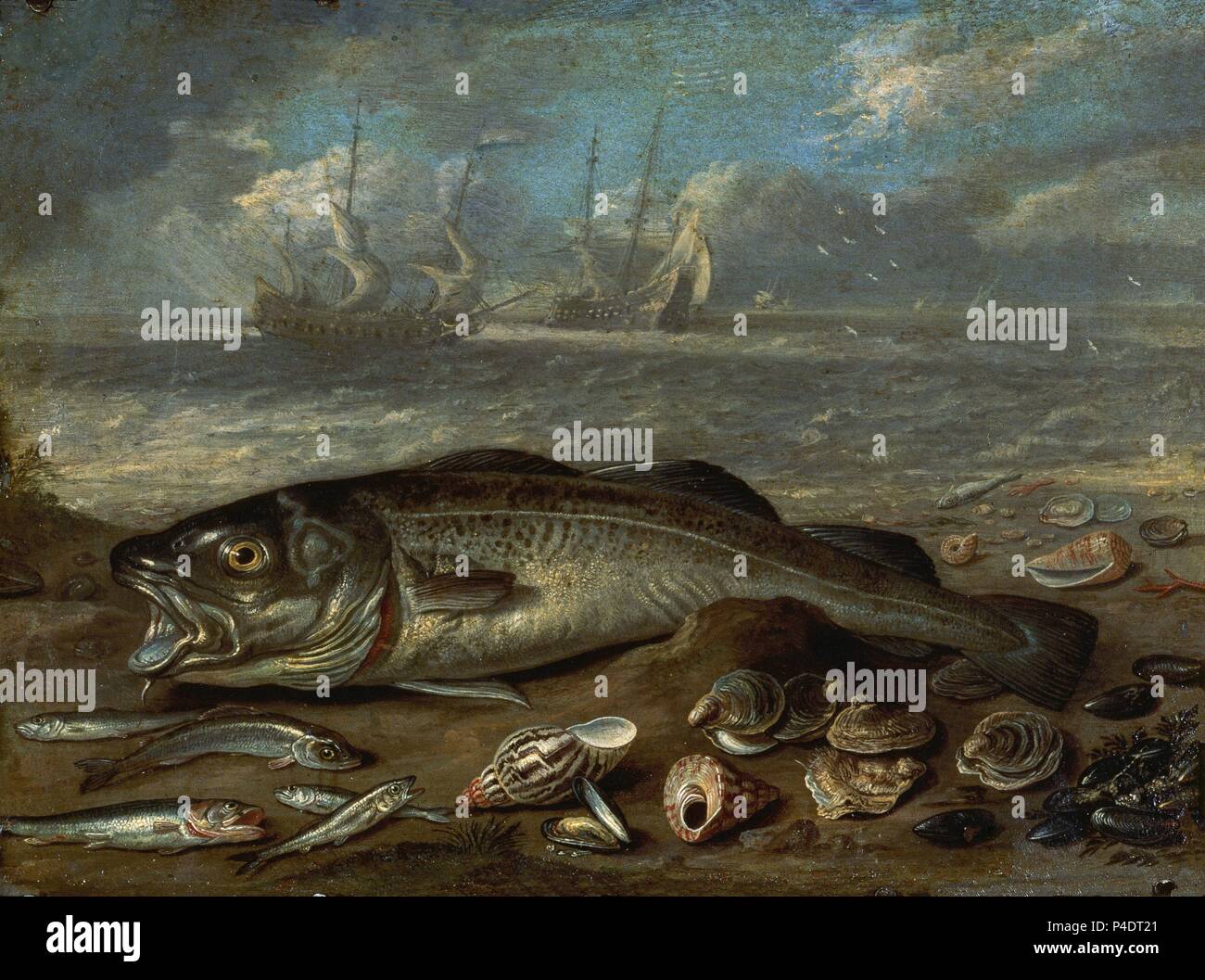 "Pesci e Seascape" ca. 1656, scuola fiamminga, olio su rame, 14 cm x 19 cm, P02750. Autore: Jan van Kessel il Vecchio (1626-1679). Posizione: Il MUSEO DEL PRADO-PINTURA, MADRID, Spagna. Foto Stock