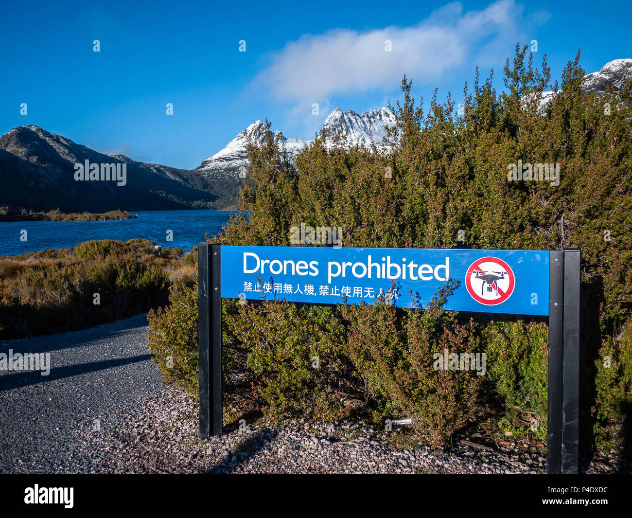 Segno di fuchi proibito al Lago Colomba nel Cradle Mountain. Uso di fuchi sulla terra riservata non è consentita in Tasmania di parchi nazionali e riserve. Foto Stock