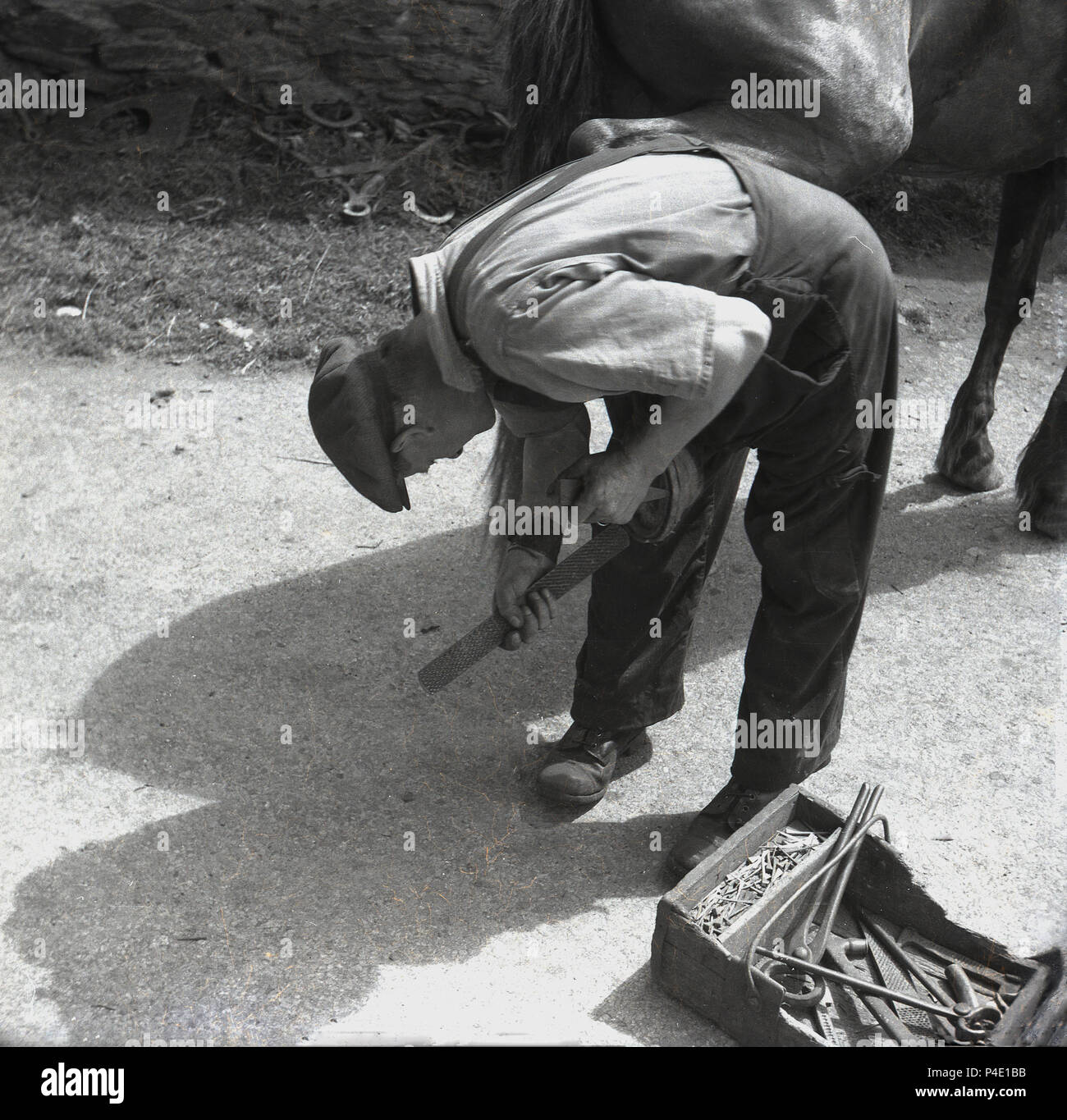 Degli anni Cinquanta, foto storiche che mostra un maniscalco con strumenti al di fuori del lavoro su un cavallo di zoccoli. Uno specialista del piede del cavallo cura, un maniscalco di lavoro altamente qualificati e in aggiunta alla cura equino, essi richiedono skiills fabbro e veterinario di conoscenza come bene per curare i cavalli ai piedi. Foto Stock