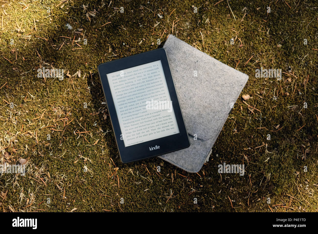 Un Kindle Paperwhite su moss Foto Stock