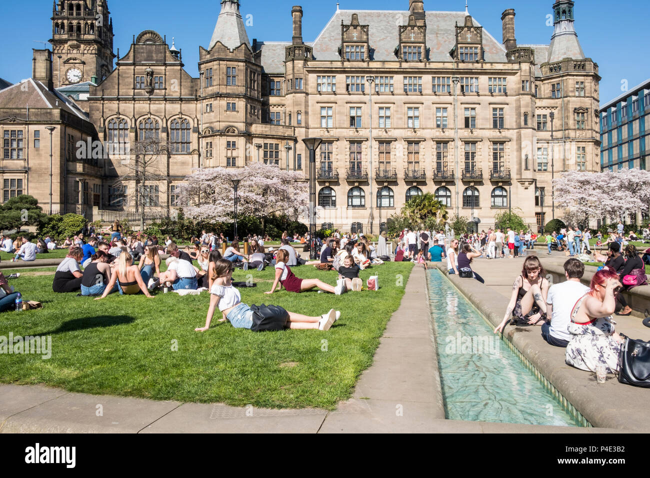 Persone e rilassante seduta sull'erba al Peace Gardens con il Municipio in background e centro della città di Sheffield, England, Regno Unito Foto Stock