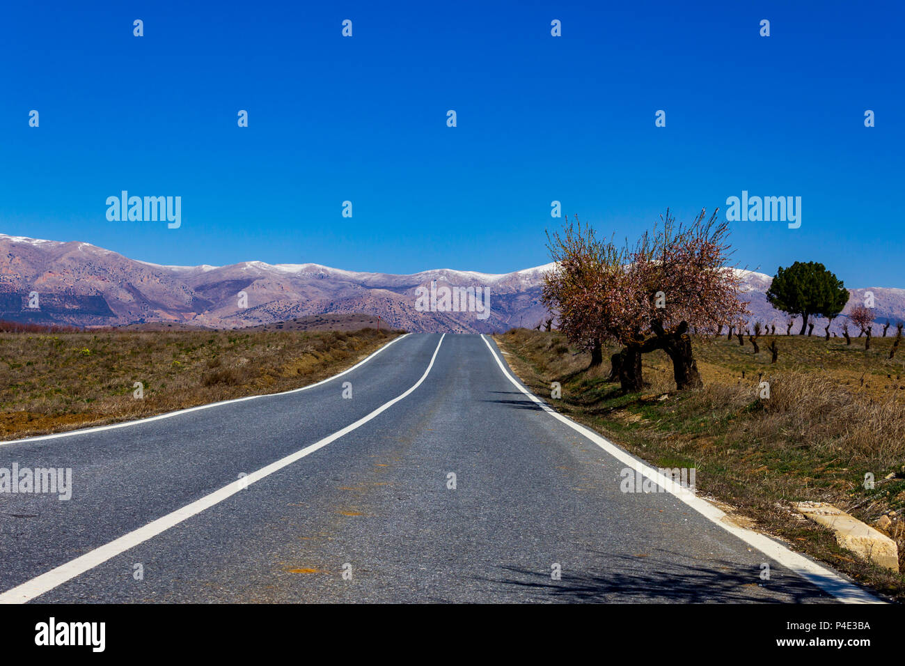 Strada diritta voce per la Snow capped Sierra Maria Mountain Range, Andalusia Spagna Foto Stock