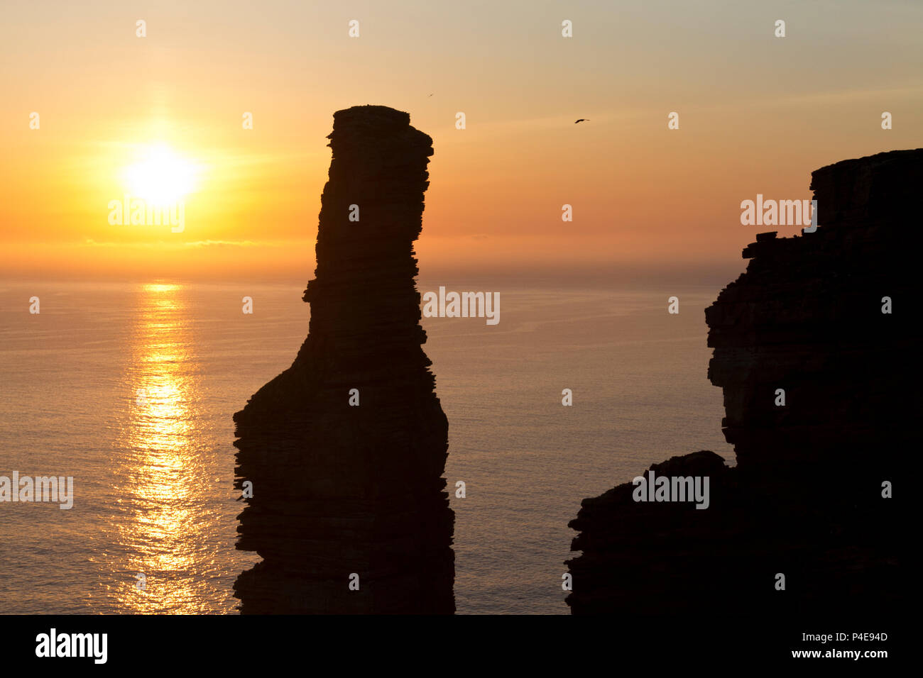 Il vecchio uomo di Hoy stagliano contro un estate tramonto, Orkney Foto Stock