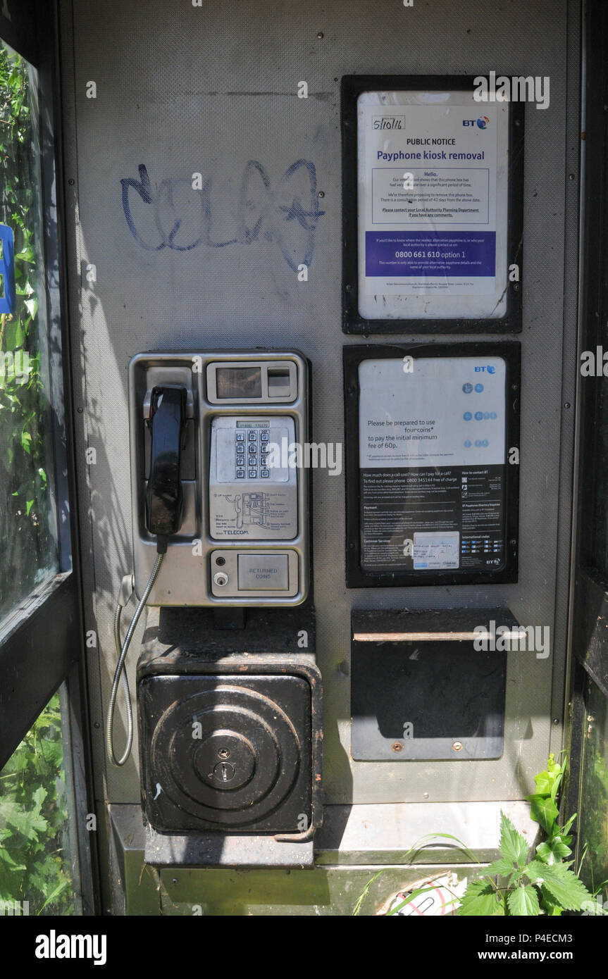 In disuso, vecchio BT telecom telefonica ricoperta da piante. Foto Stock