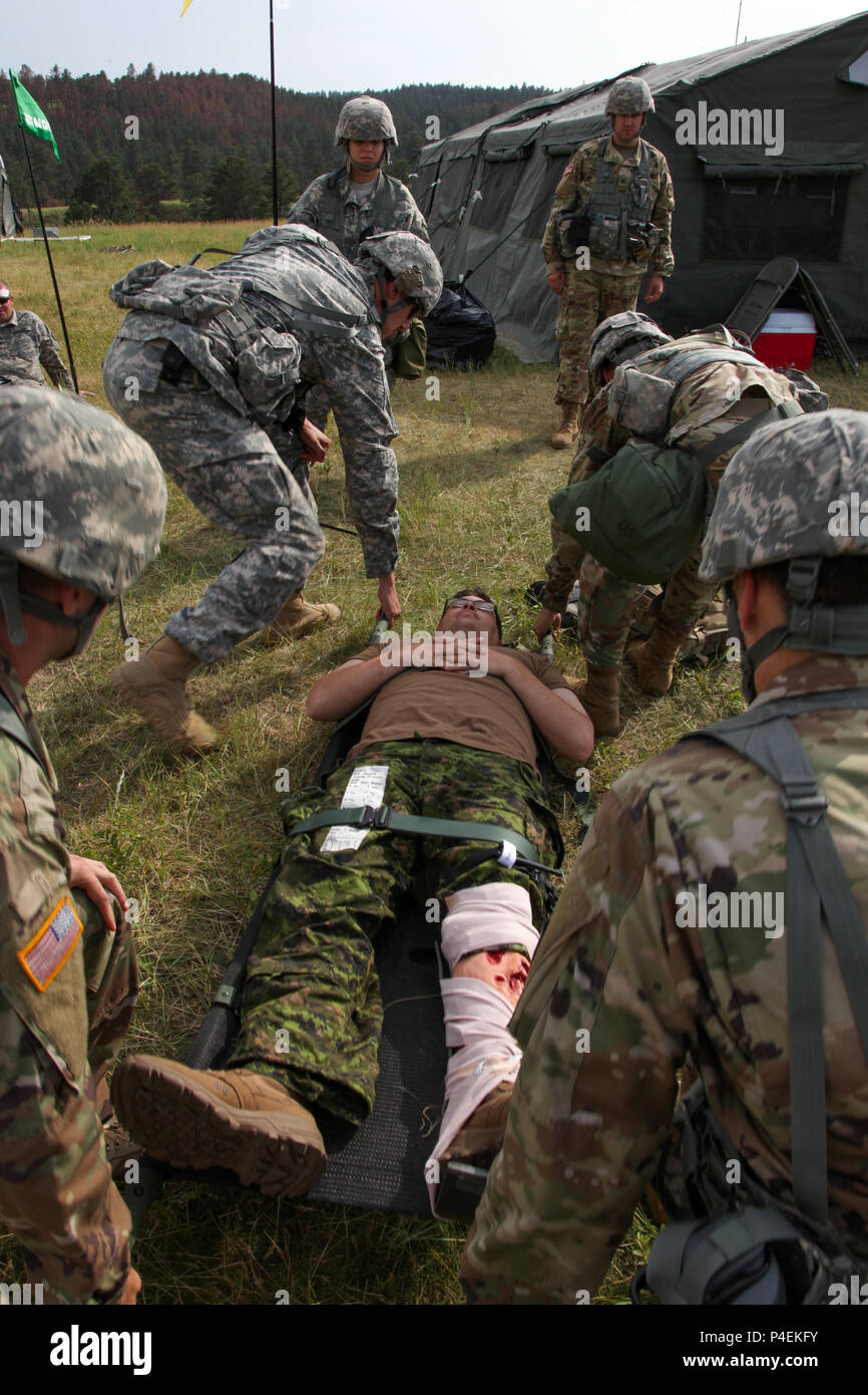 Stati Uniti Soldati con il 730th Supporto Area Azienda medica, South Dakota Esercito Nazionale Guardia Medica, comando, Distretto di Columbia Esercito Nazionale Guardia, e trentottesima brigata canadese Gruppo, forze armate canadesi, treno insieme in una massa casualty esercizio a sostegno del Golden Coyote esercitazione, Custer State Park, S.D. Giugno 16, 2018. Il Golden Coyote è un esercizio a tre-fase, scenario di esercizio di condotta condotta in Black Hills del Sud Dakota e Wyoming, quali comandanti permette di concentrarsi sulla missione requisiti essenziali per lo svolgimento delle attività e le attività del guerriero e punte di battaglia. (U.S. Esercito foto di PFC. Chr Foto Stock