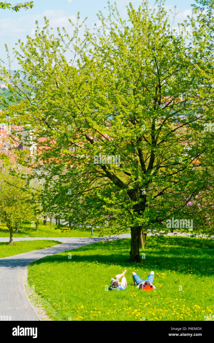 Petrinske sady, Petrin Hill park, Praga, Repubblica Ceca Foto Stock