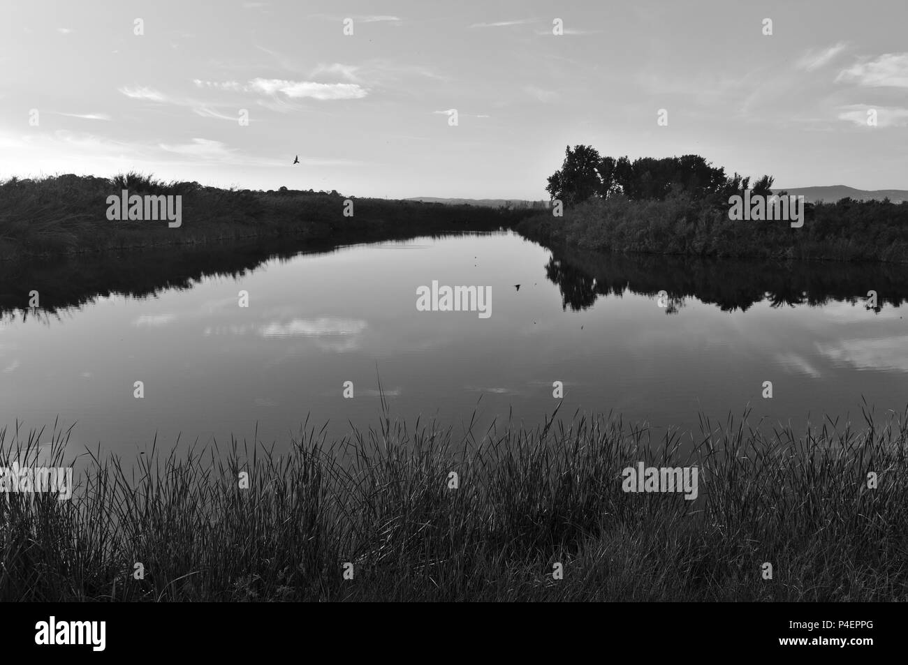 Fine del pomeriggio in Ludo con monocromatico. Algarve Portogallo Foto Stock