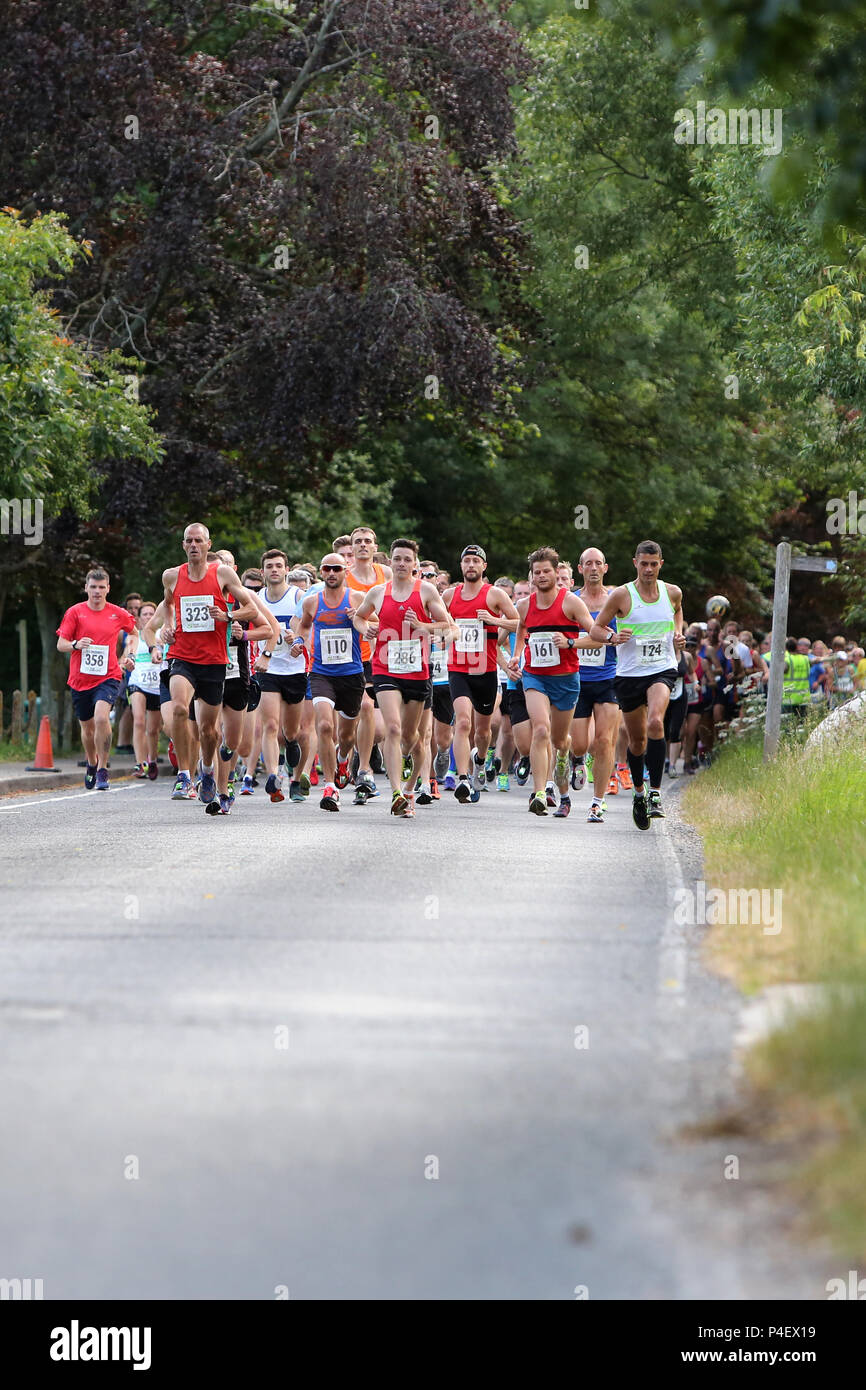 Il Chichester Runners Club metà estate 5 corsa su strada che inizia a Lavant e corre attraverso Goodwood Racecourse, West Sussex, Regno Unito. Foto Stock