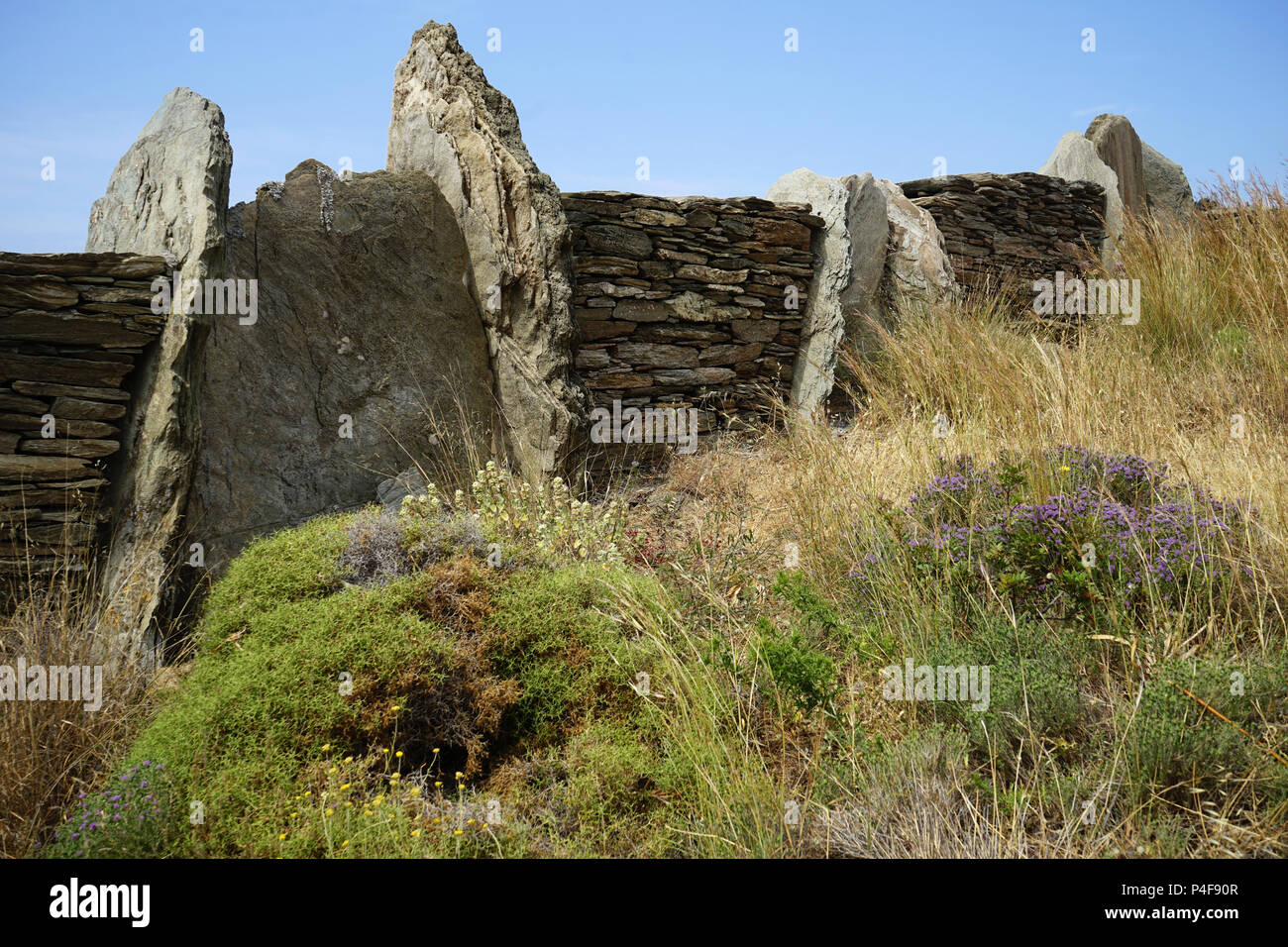 Parete di roccia sith grandi rocce che separa i campi, isola di Andros, Cicladi Grecia Foto Stock
