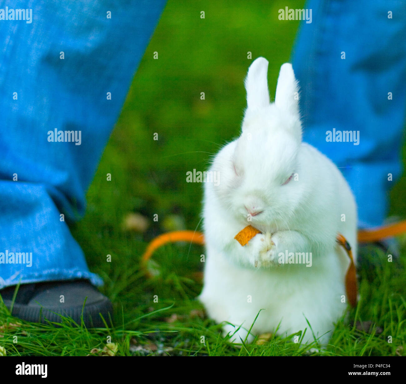 Ragazza con il suo banny sull'erba verde Foto Stock