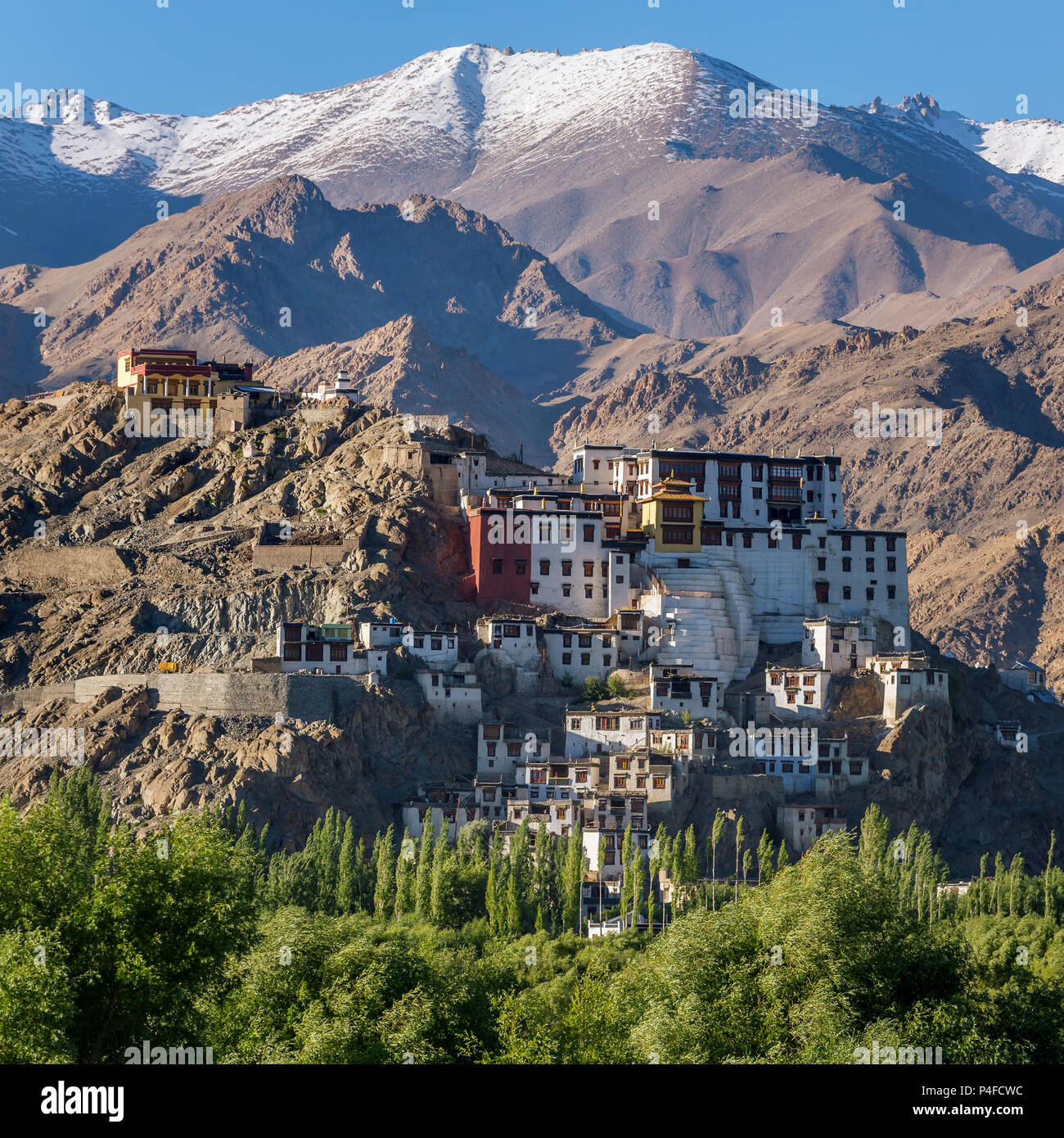 Spitok gompa monastero buddista con alta Himalaya montagne sullo sfondo, Ladakh, Jammu e Kashmir India Foto Stock