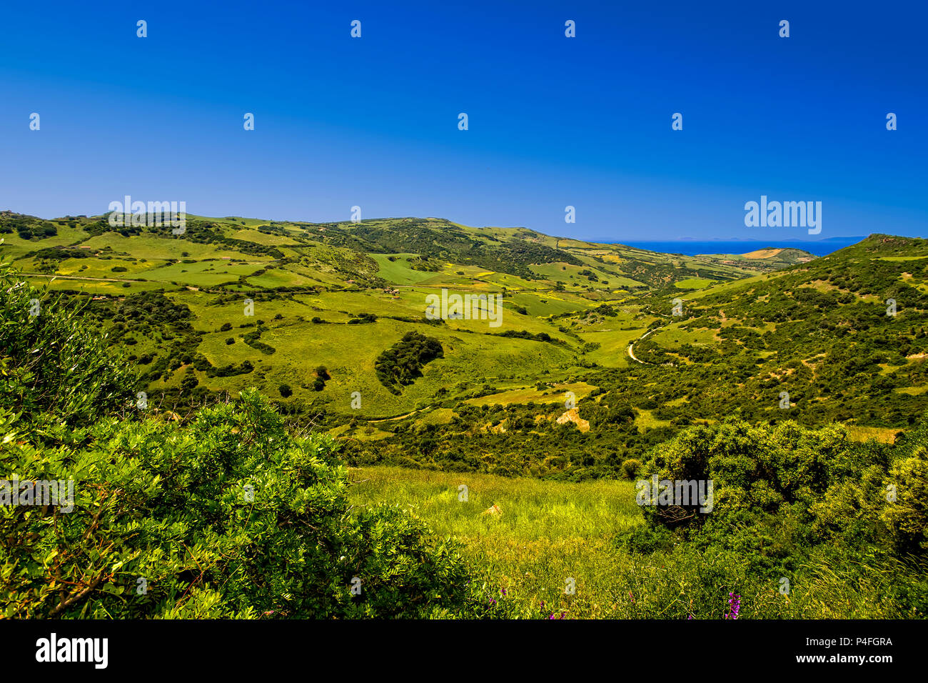 Italia Sardegna Anglona paesaggio dalla fortezza nuragica di Monte S. Elia vicino a Castelsardo Foto Stock