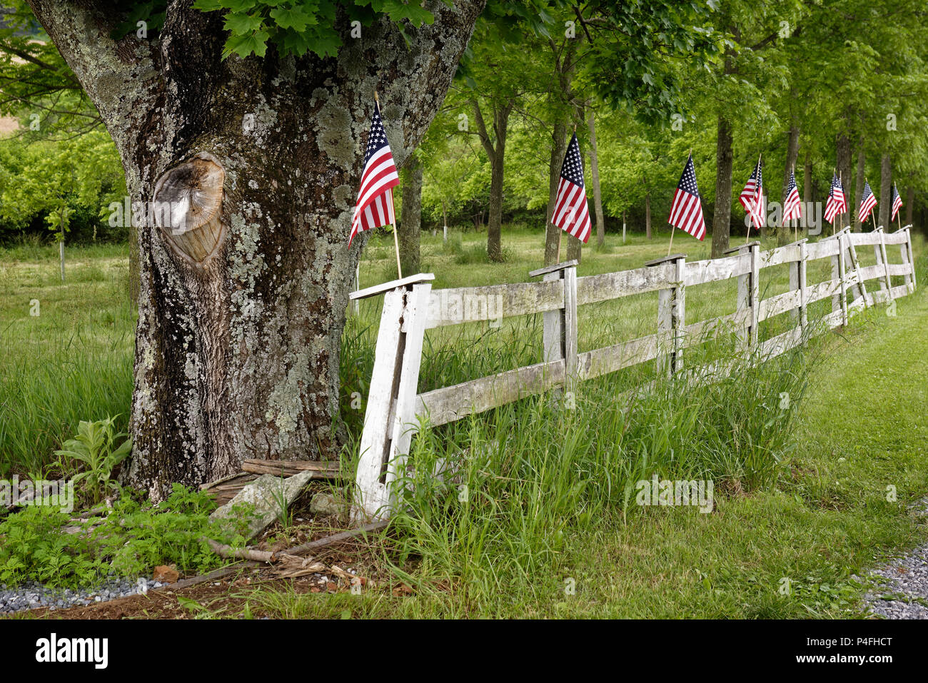 Rustico bandiera americana visualizzare lungo una corsia di fattoria recinto per quarto patriottica di luglio vacanza. Foto Stock