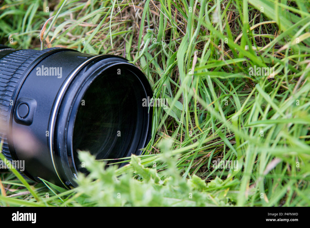 Natura attrezzatura fotografica all'aperto sul campo di erba Foto Stock