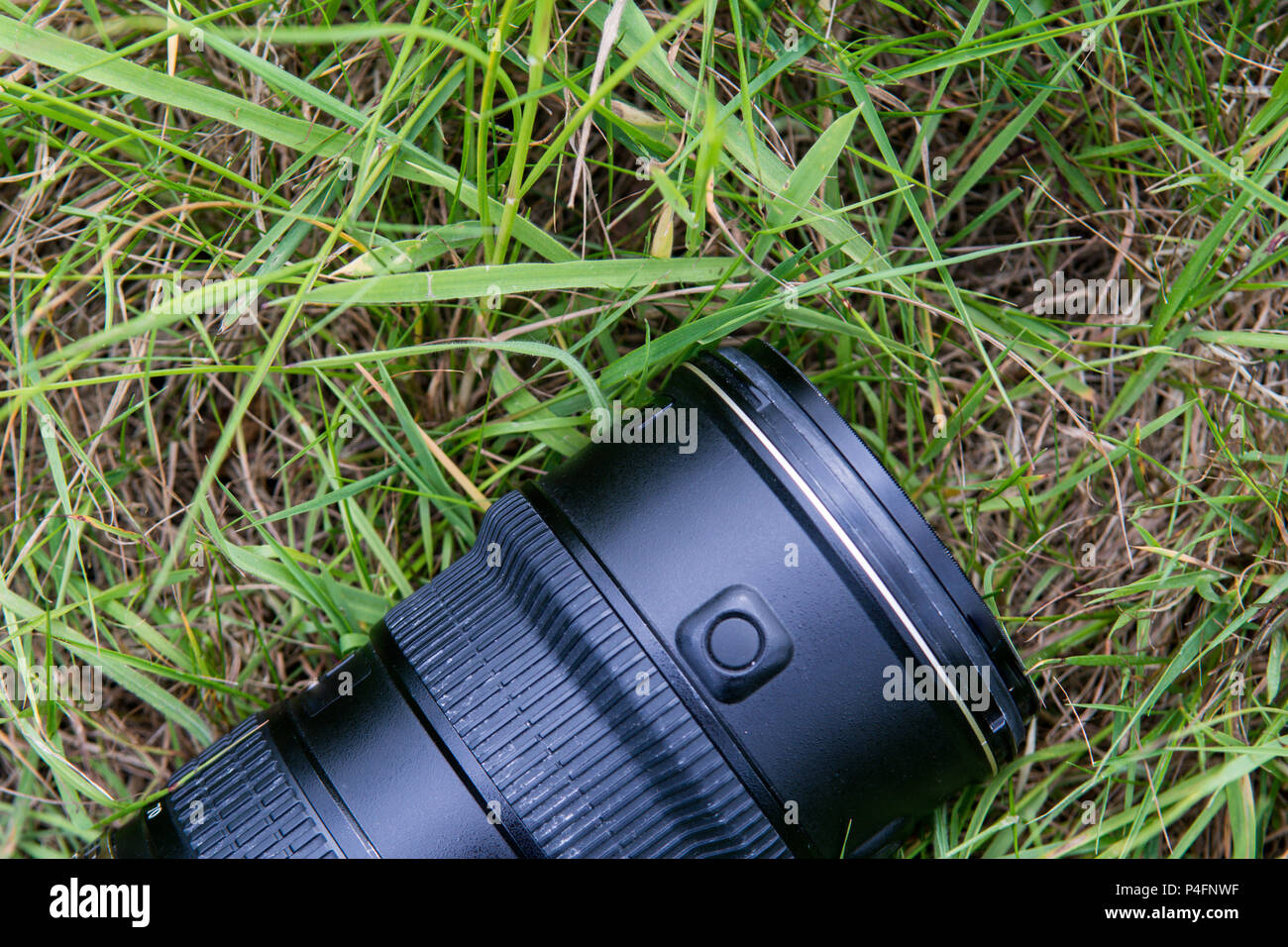 Natura attrezzatura fotografica all'aperto sul campo di erba Foto Stock
