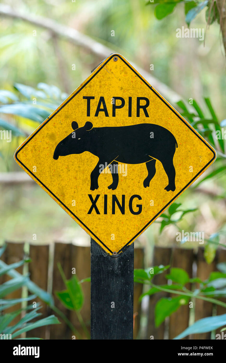 Cartello stradale per un tapiro crossing in America centrale Foto Stock