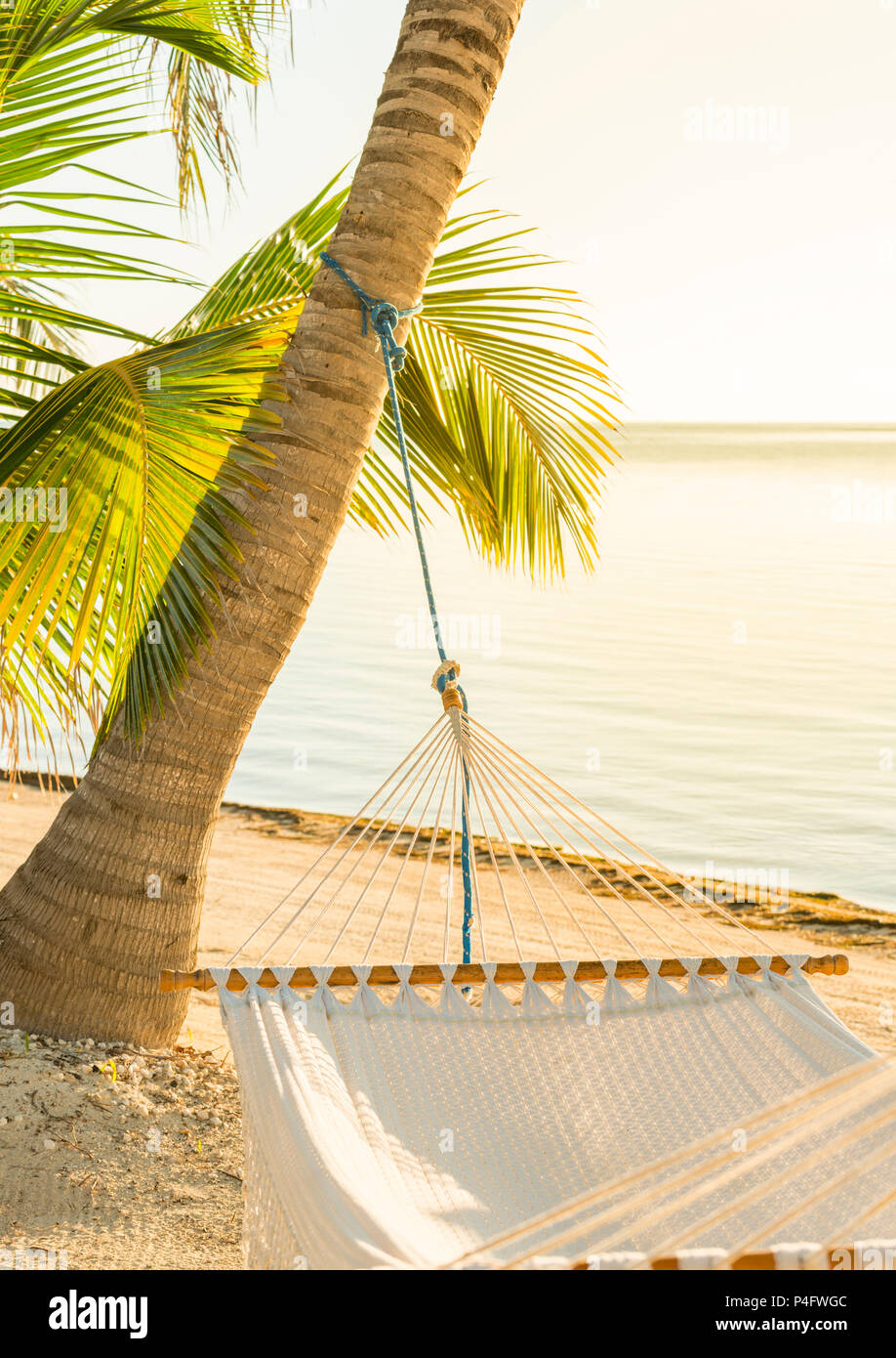 Vacanza tranquilla amaca in tropical Palm Beach Foto Stock