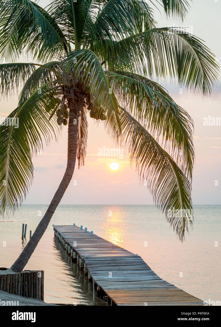 Tropical sunrise su un pontile in legno con Palm tree Foto Stock