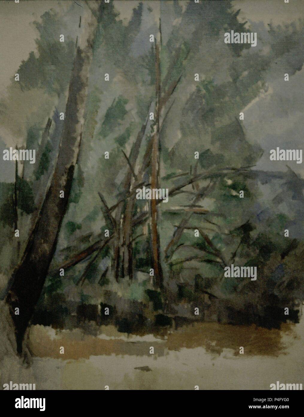 'Alberi' (Tholonet), 1904, olio su tela, 65 x 80,5 cm. Autore: Paul Cézanne (1839-1906). Posizione: MENIL COLECCION, Houston-TEXAS. Foto Stock