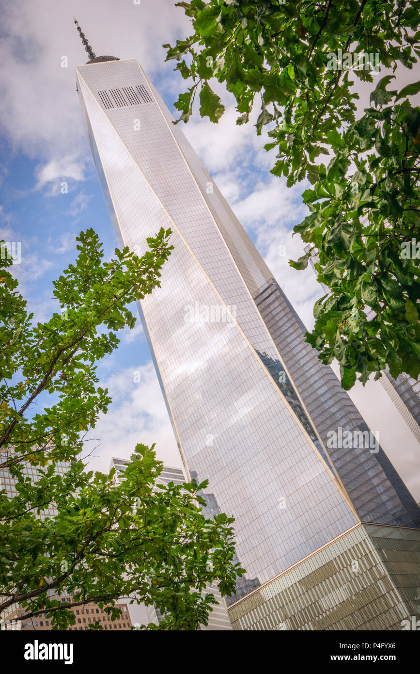 La One World Trade Center come visto attraverso gli alberi in corrispondenza di un angolo in Lower Manhattan, New York City Foto Stock
